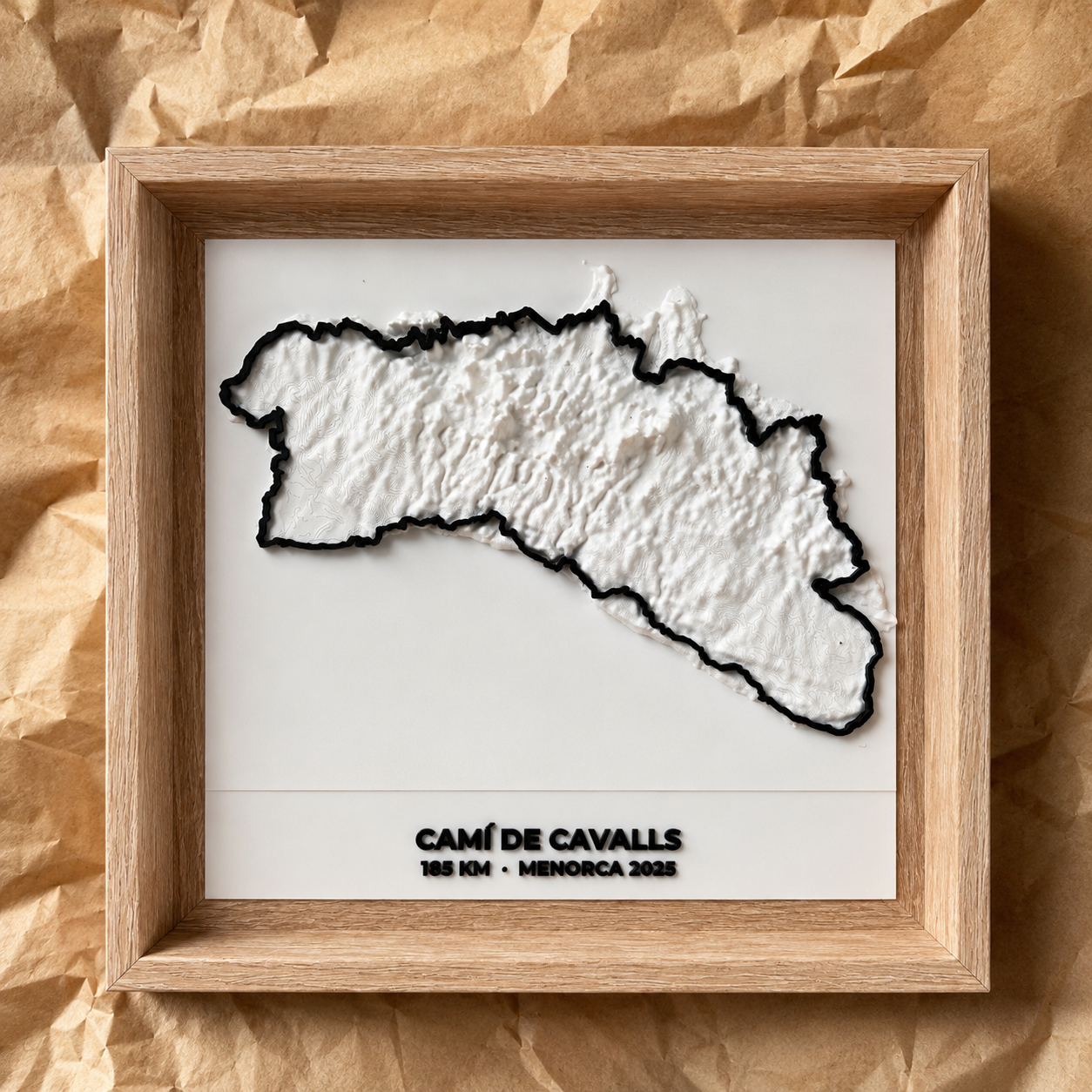 Camí de Cavalls 2026 · Mapa 3D